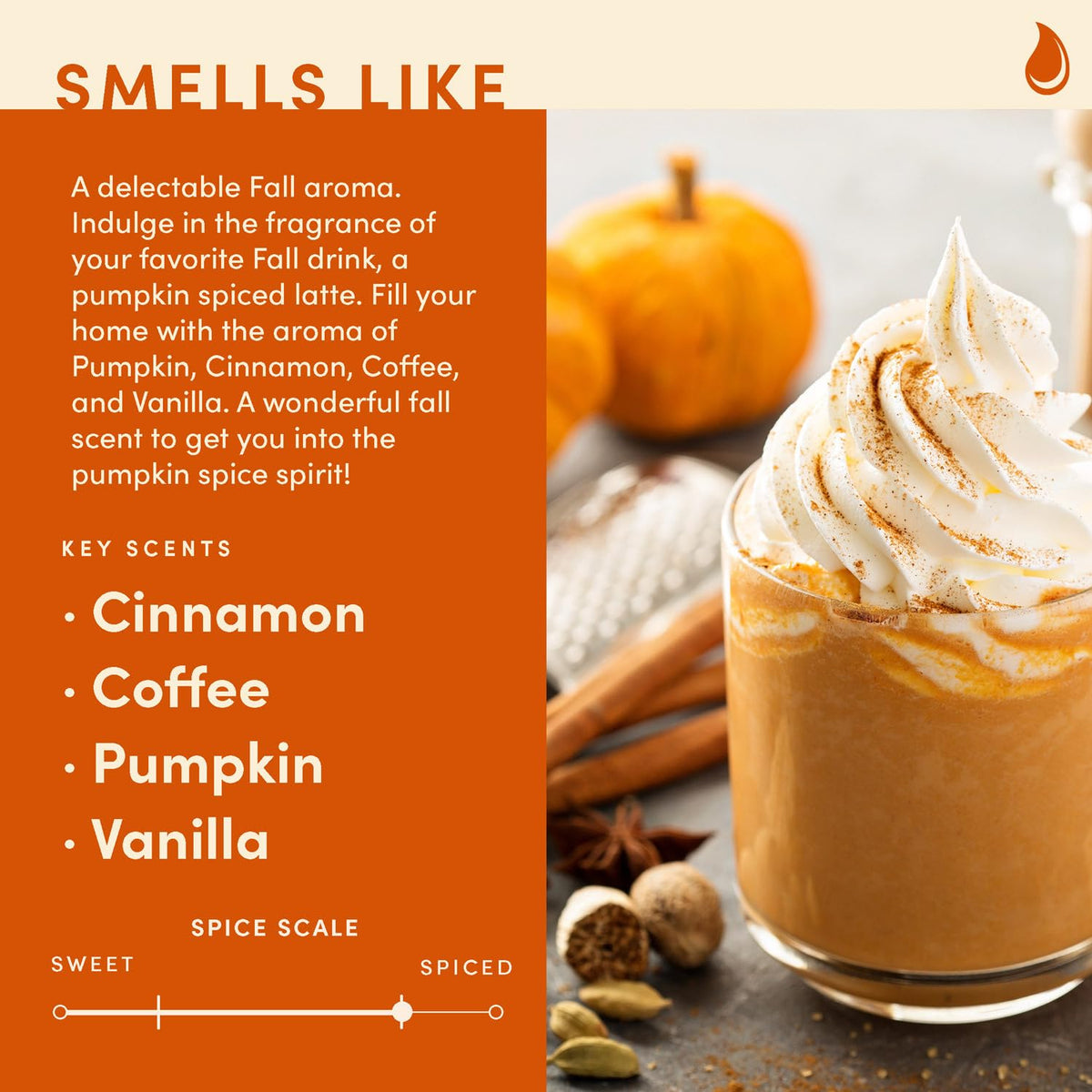 Wax & Wit Pumpkin Spice Fall Candles for Home, 9 oz Scented Soy Jar