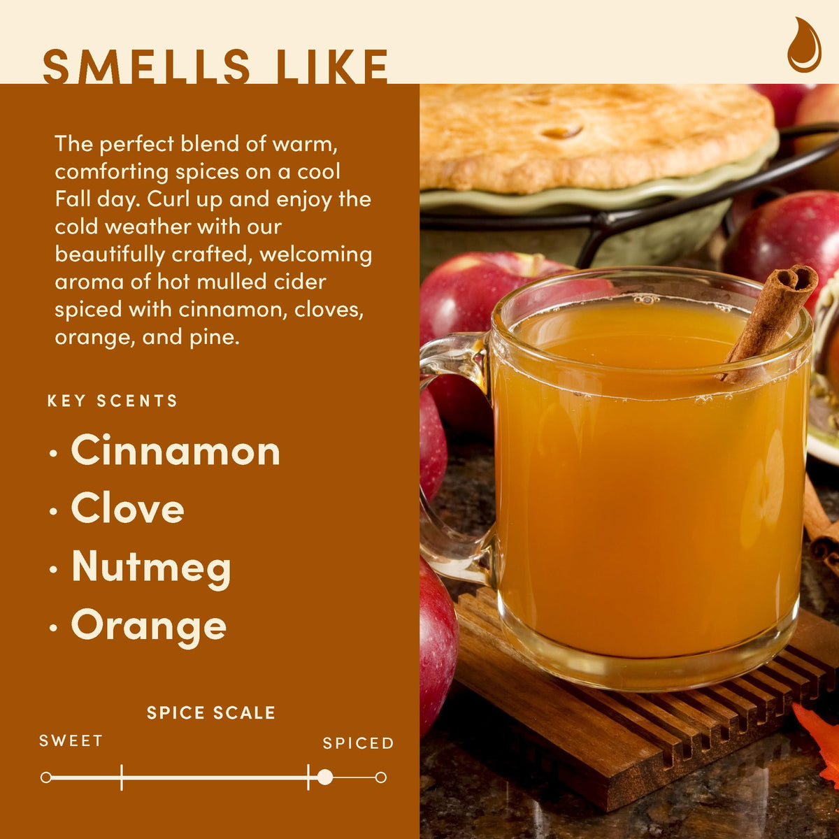 Wax & Wit Pumpkin Spice Fall Candles for Home, 9 oz Scented Soy Jar