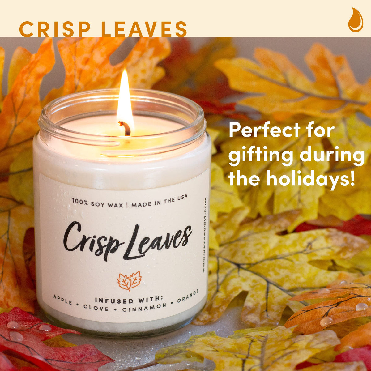 Wax & Wit Pumpkin Spice Fall Candles for Home, 9 oz Scented Soy Jar