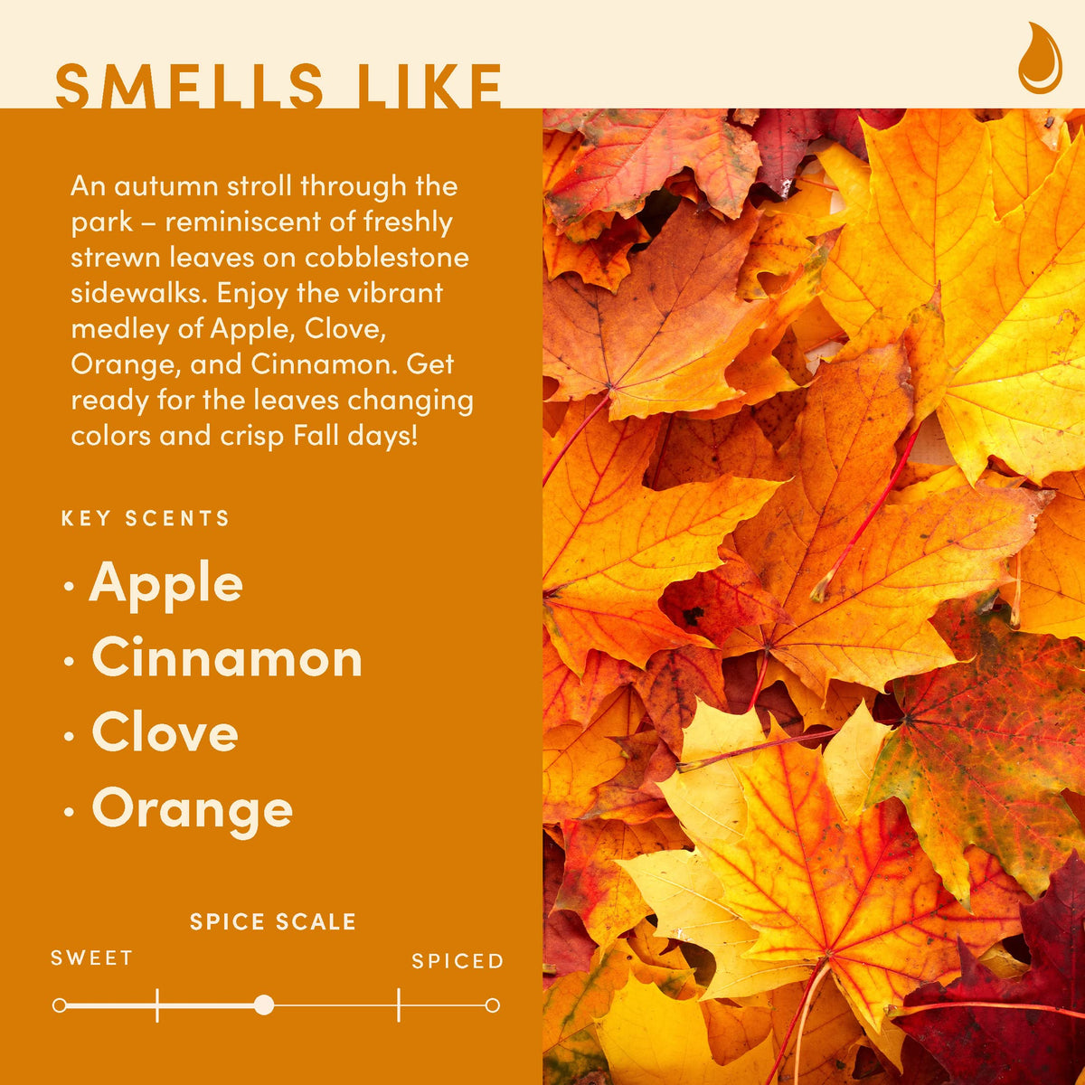 Wax & Wit Pumpkin Spice Fall Candles for Home, 9 oz Scented Soy Jar
